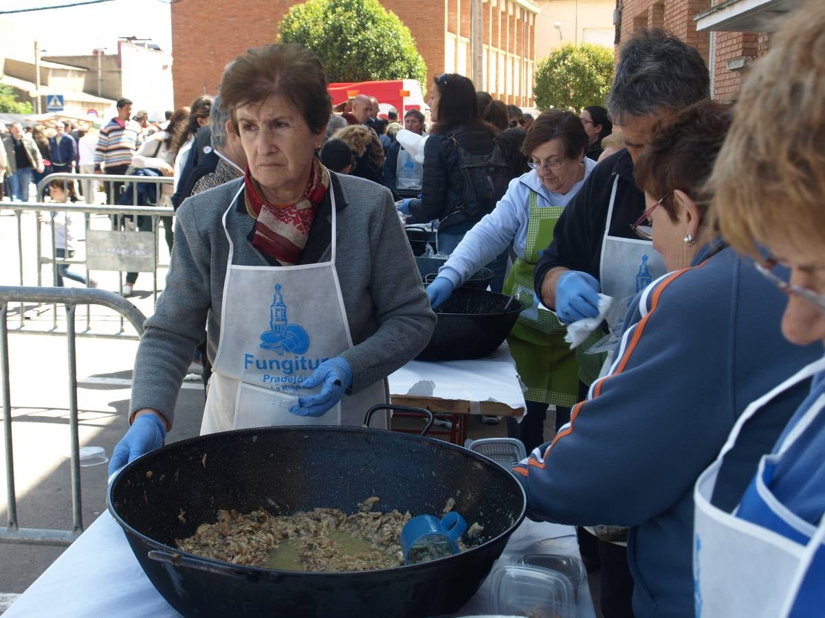 Pradejón despide Fungitur