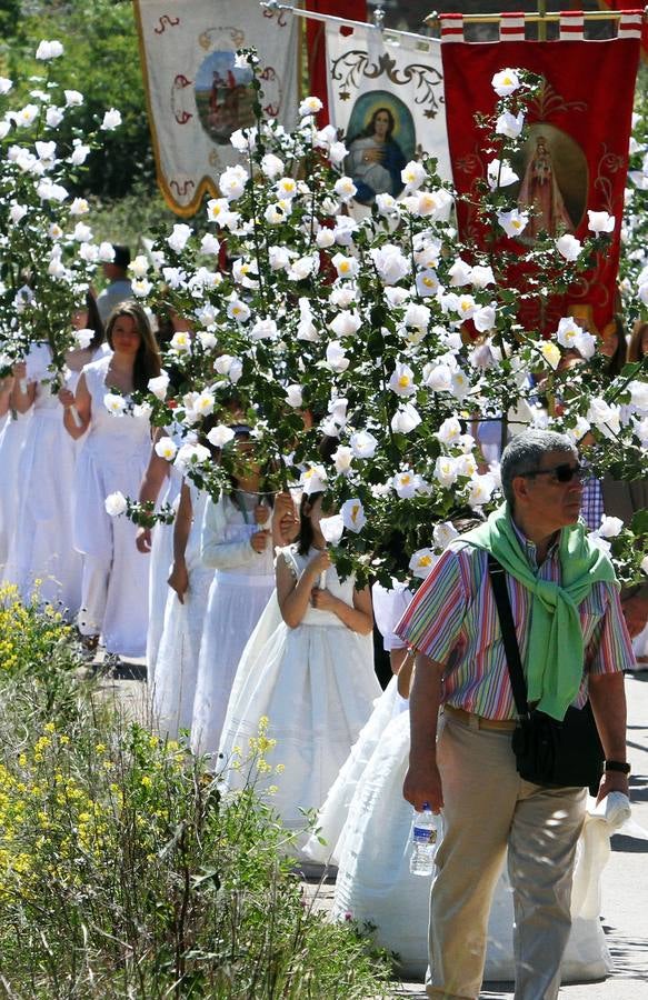 Las Doncellas procesionan en Sorzano