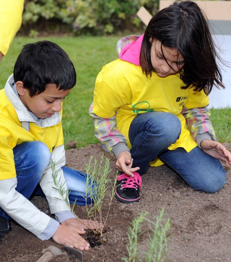 Escolares del Colegio Salesianos Los Boscos siembran la &#039;Planta de la Ilusión&#039;