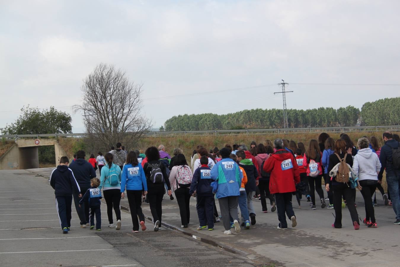 XXV Marcha Solidaria de Alfaro