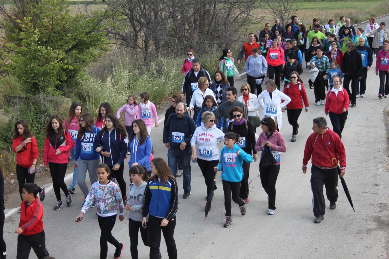 XXV Marcha Solidaria de Alfaro