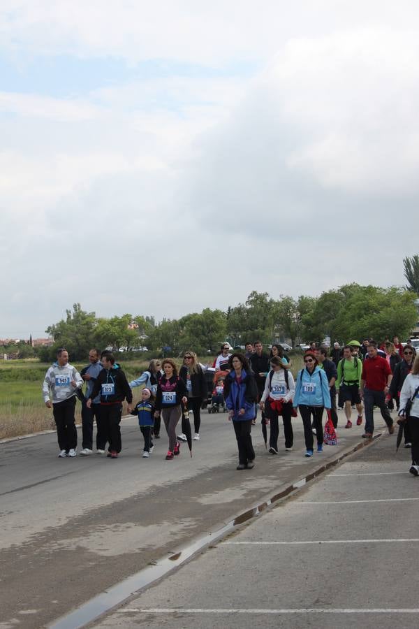 XXV Marcha Solidaria de Alfaro