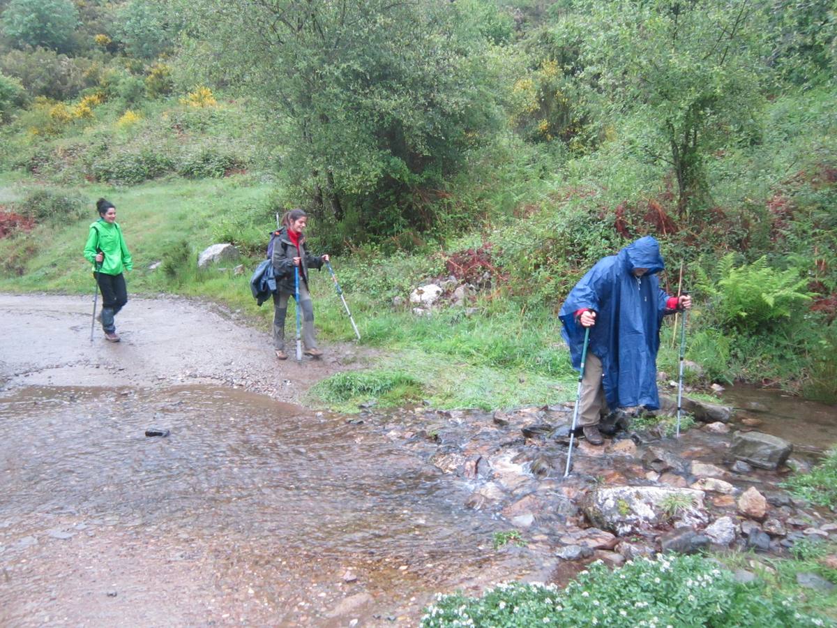 XV Marcha Senderista por los Montes de Anguiano