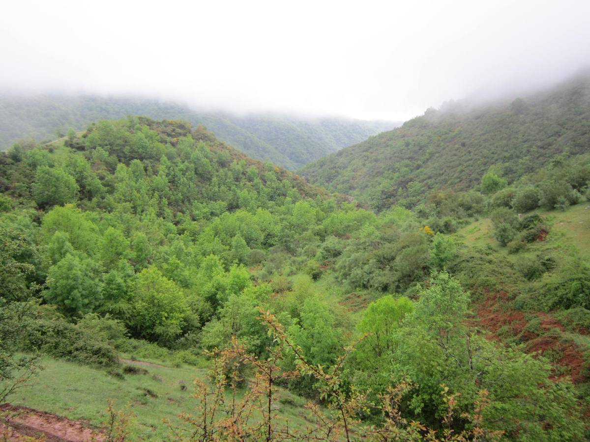 XV Marcha Senderista por los Montes de Anguiano