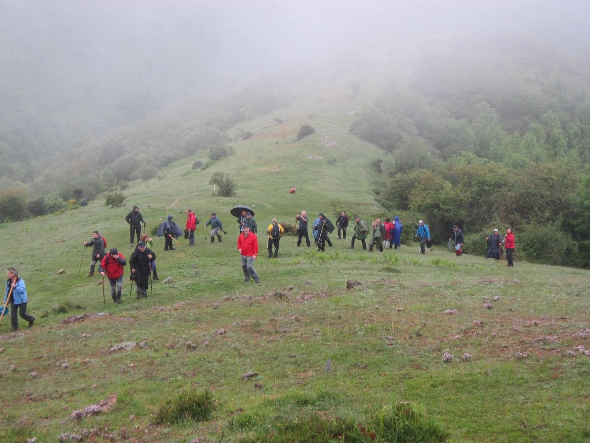 XV Marcha Senderista por los Montes de Anguiano