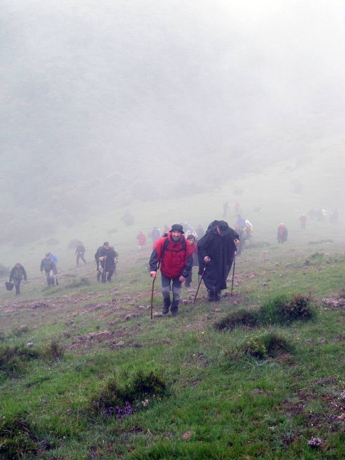 XV Marcha Senderista por los Montes de Anguiano