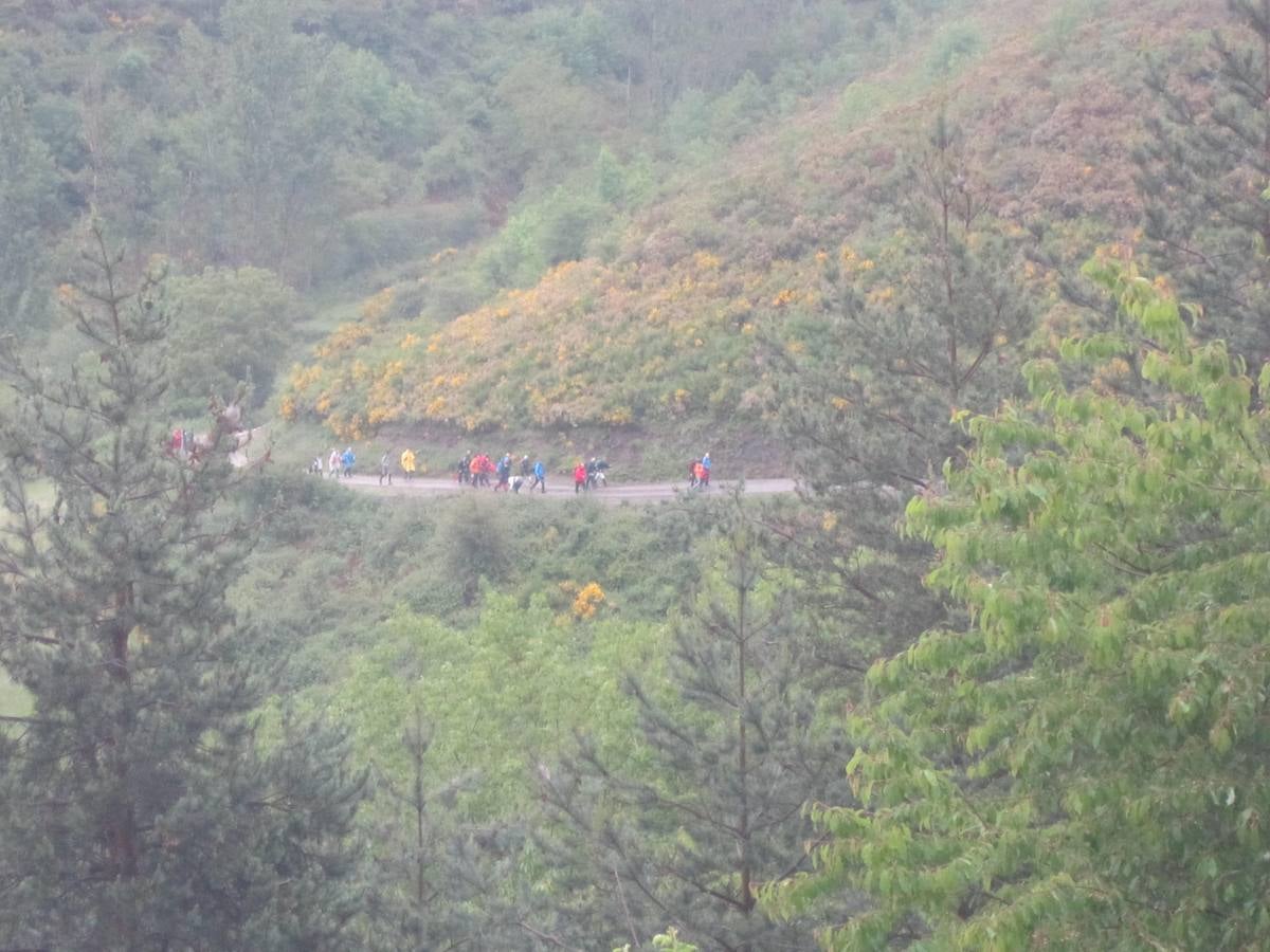 XV Marcha Senderista por los Montes de Anguiano