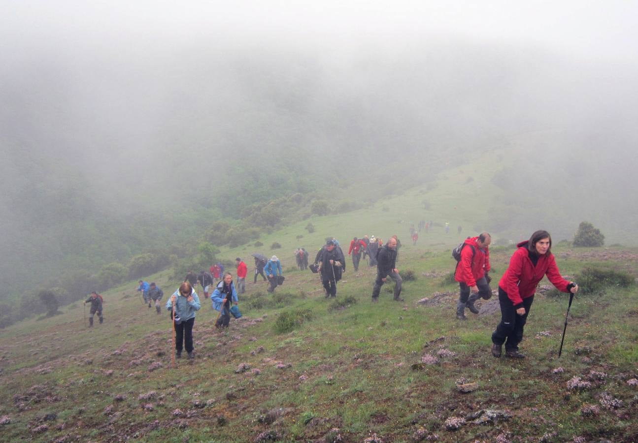 XV Marcha Senderista por los Montes de Anguiano