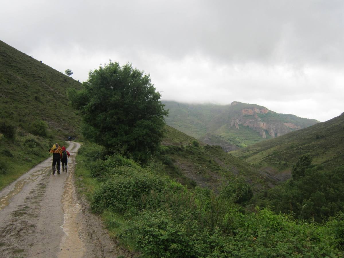 XV Marcha Senderista por los Montes de Anguiano