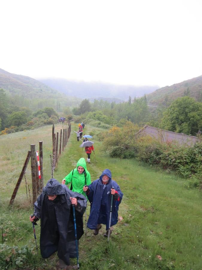 XV Marcha Senderista por los Montes de Anguiano (II)