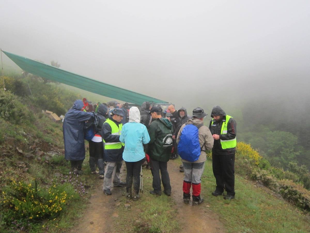 XV Marcha Senderista por los Montes de Anguiano (II)