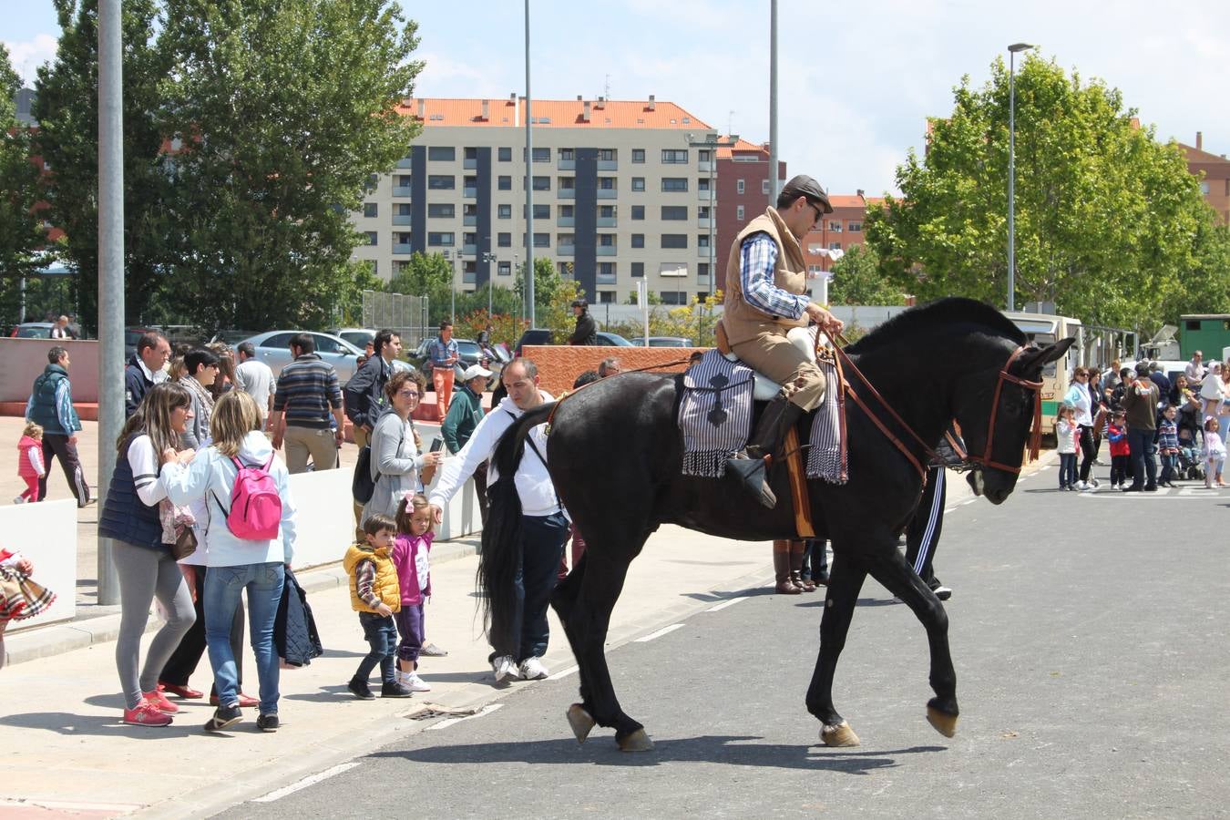 Arnedo celebra la II Fiesta de la Trashumancia