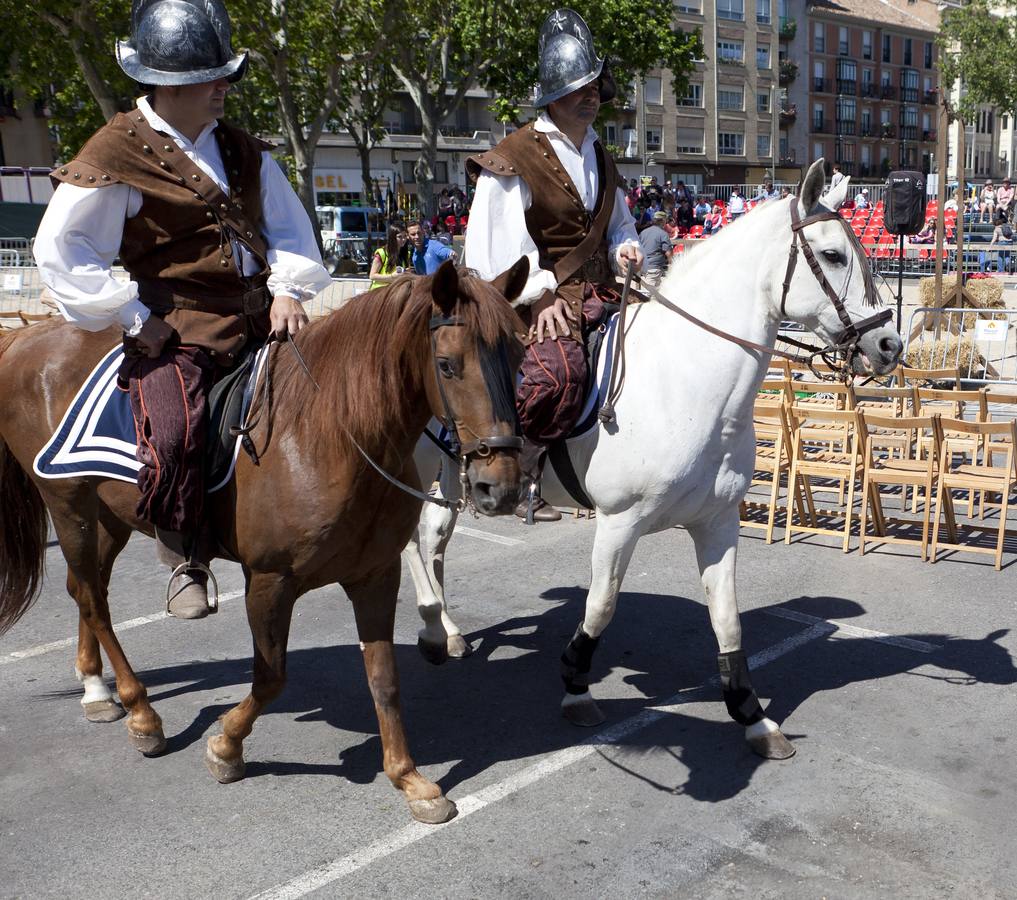 Desfile de caballeria