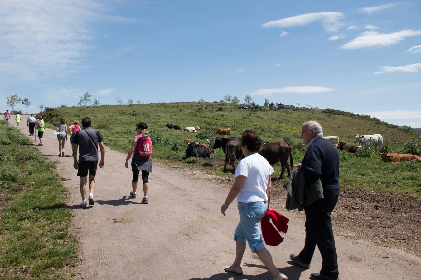 La romería a Santa Bárbara, en el día grande de las fiestas de Ezcaray