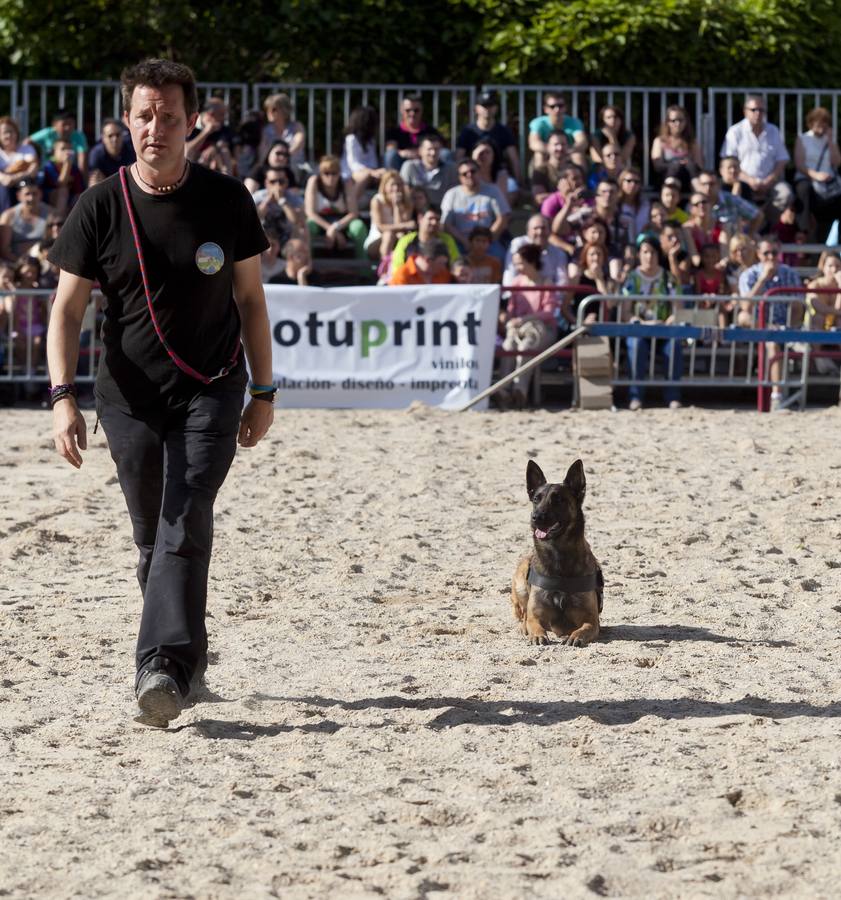 Demostración de la Unidad Canina de Rescate de La Rioja