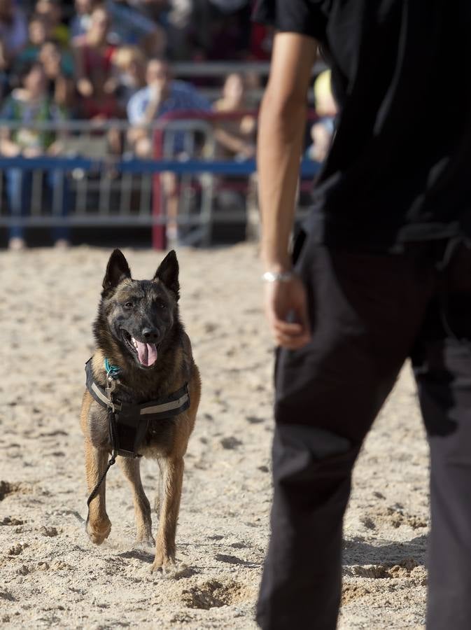 Demostración de la Unidad Canina de Rescate de La Rioja