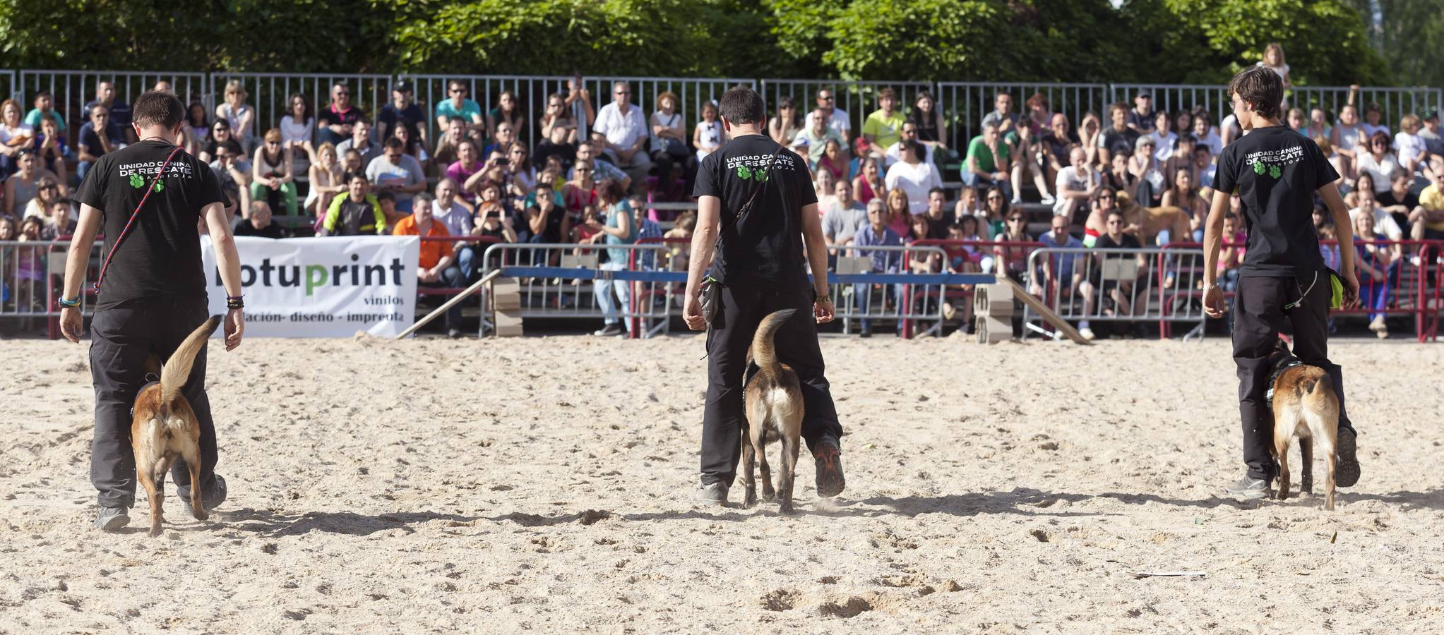 Demostración de la Unidad Canina de Rescate de La Rioja