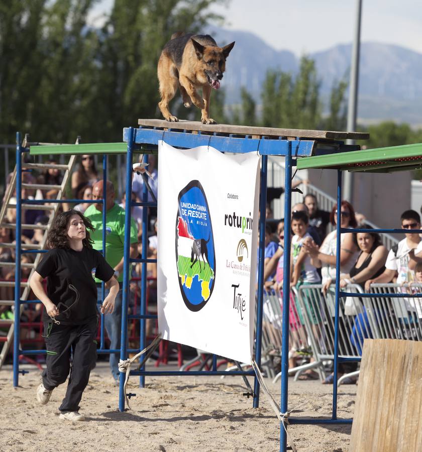 Demostración de la Unidad Canina de Rescate de La Rioja