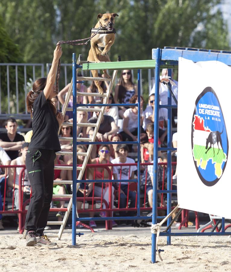 Demostración de la Unidad Canina de Rescate de La Rioja