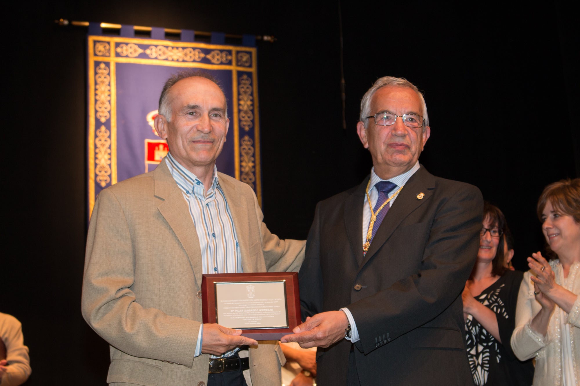 Premios Excelencia Calceatense