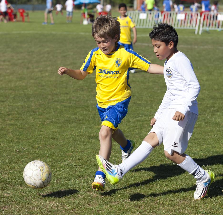 I Jornada del Memorial Nani, organizado por Balsamaiso