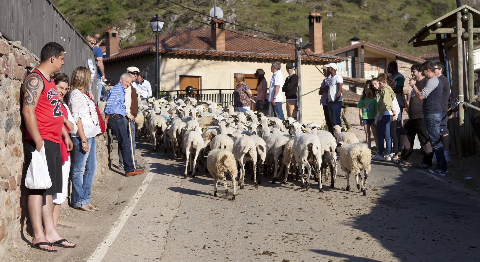 Fiesta de la Trashumancia en Brieva