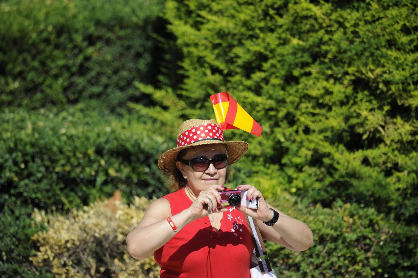 Curiosidades de la proclamación