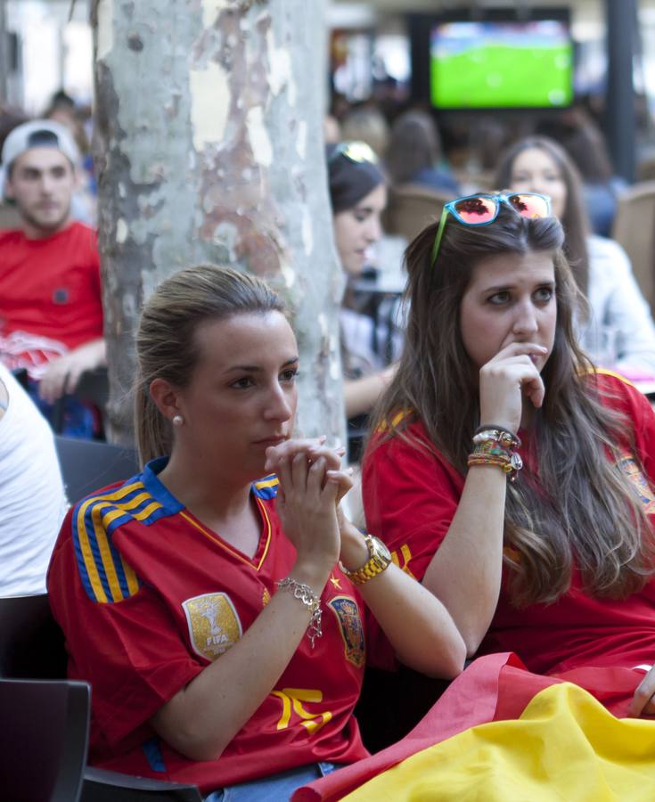 Logroño se entristece con la Roja