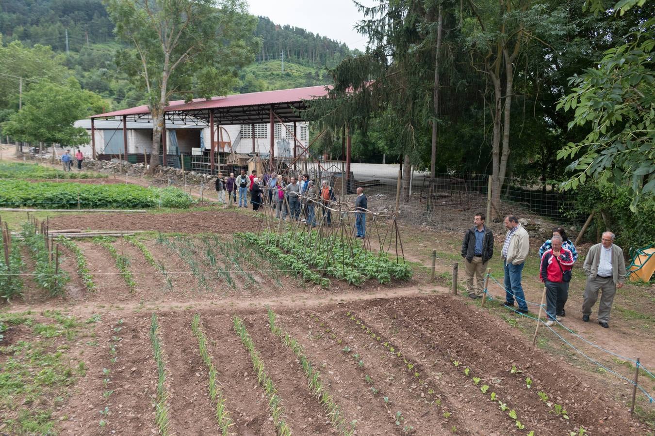 Huertos sociales en Ezcaray