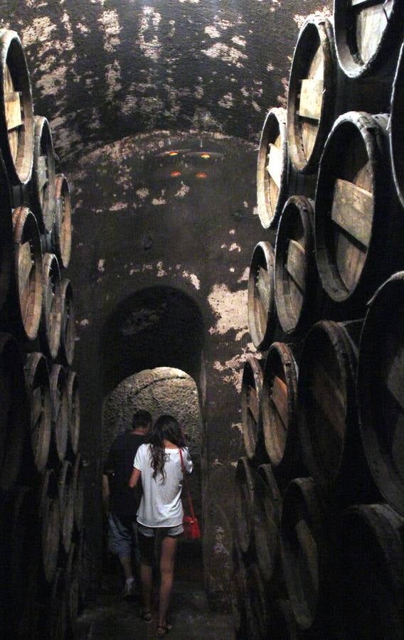 Jornada de puertas abiertas de las bodegas de Villamediana