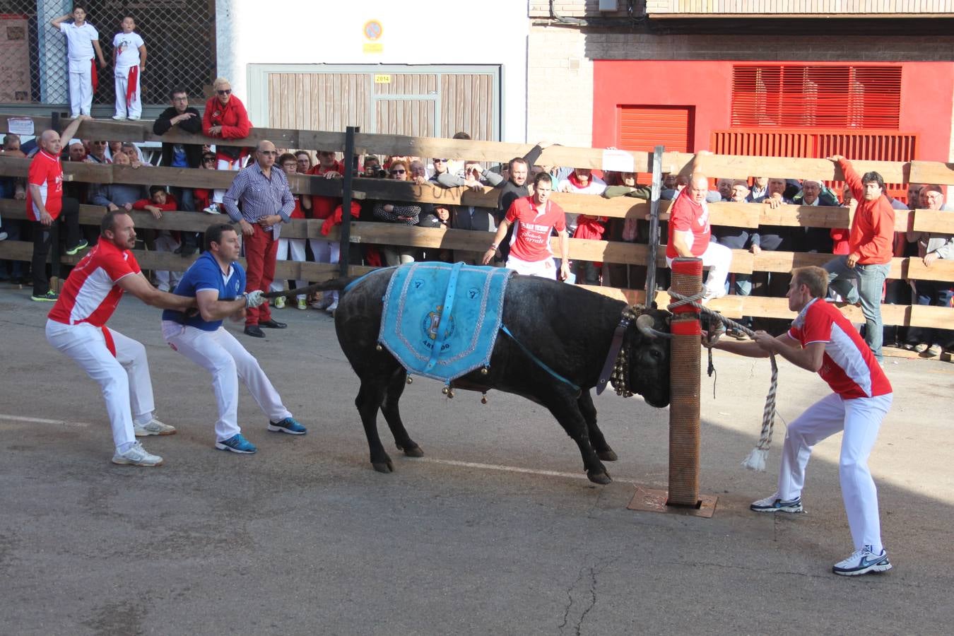 Arnedo apura sus fiestas