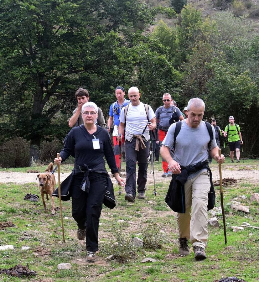 Celebración de la Marcha de Hoyos