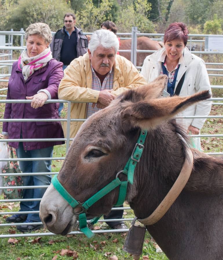 Feria Agroalimentaria y de Ganado en Ojacastro