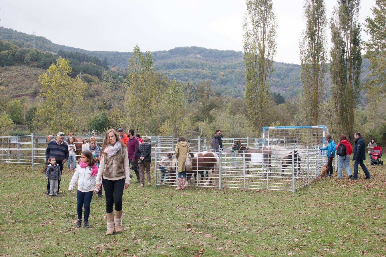 Feria Agroalimentaria y de Ganado en Ojacastro