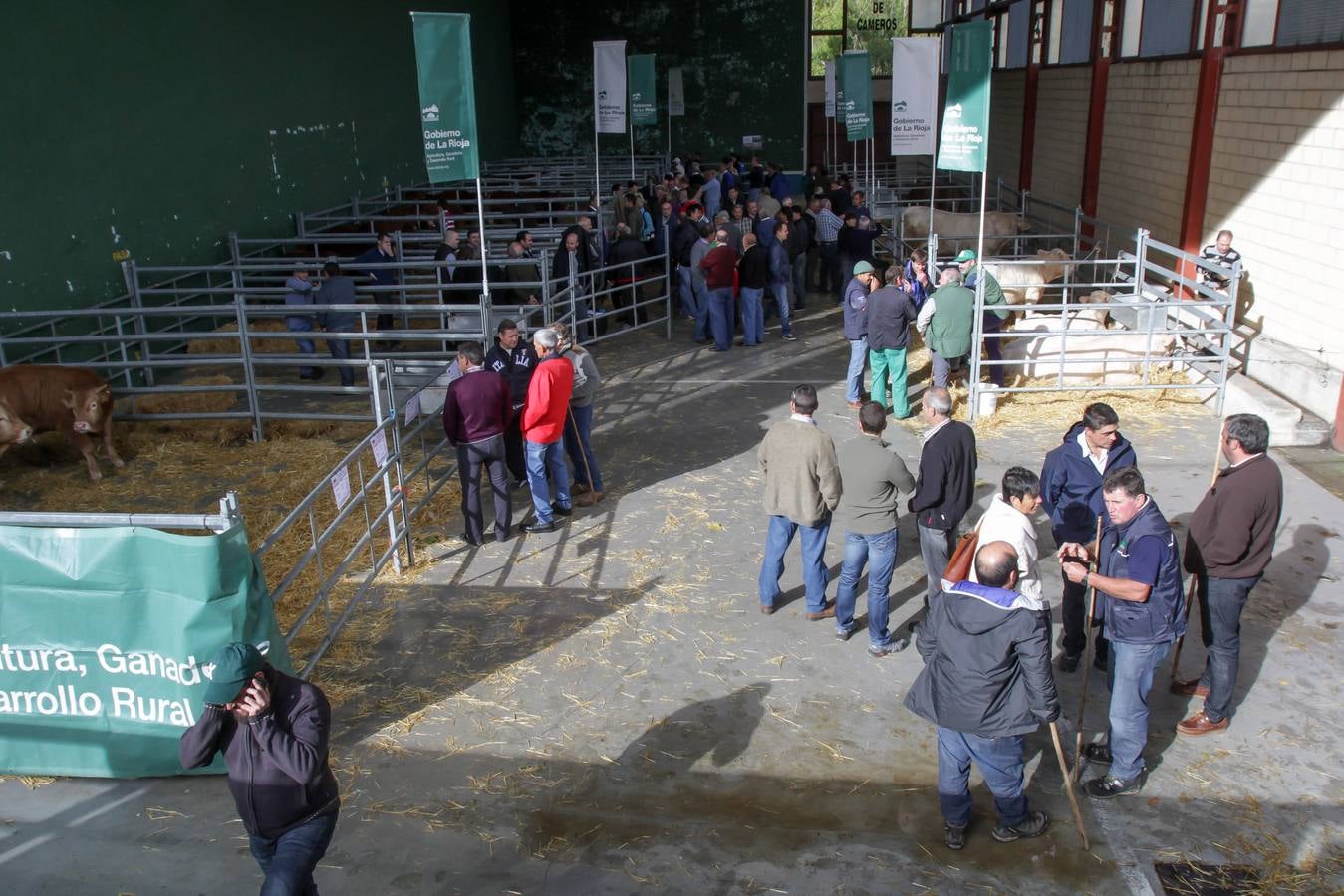 Feria de ganado en Villoslada