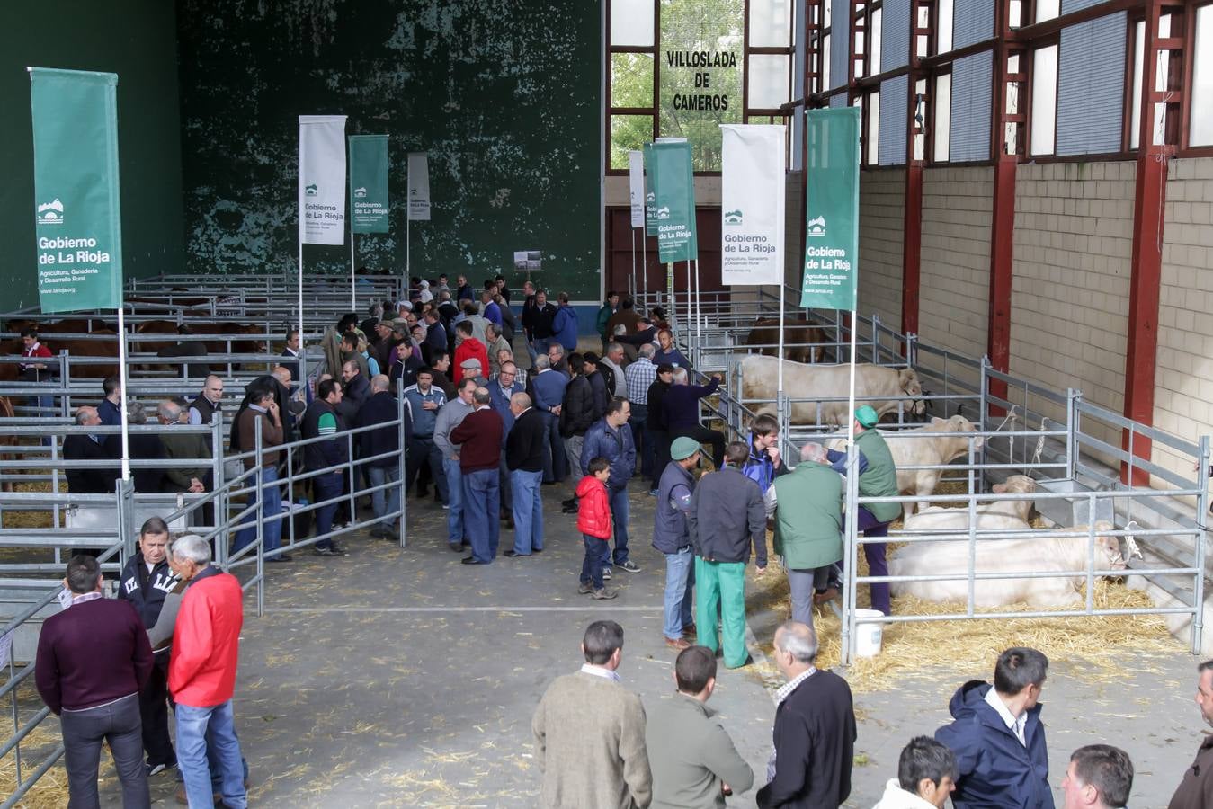 Feria de ganado en Villoslada