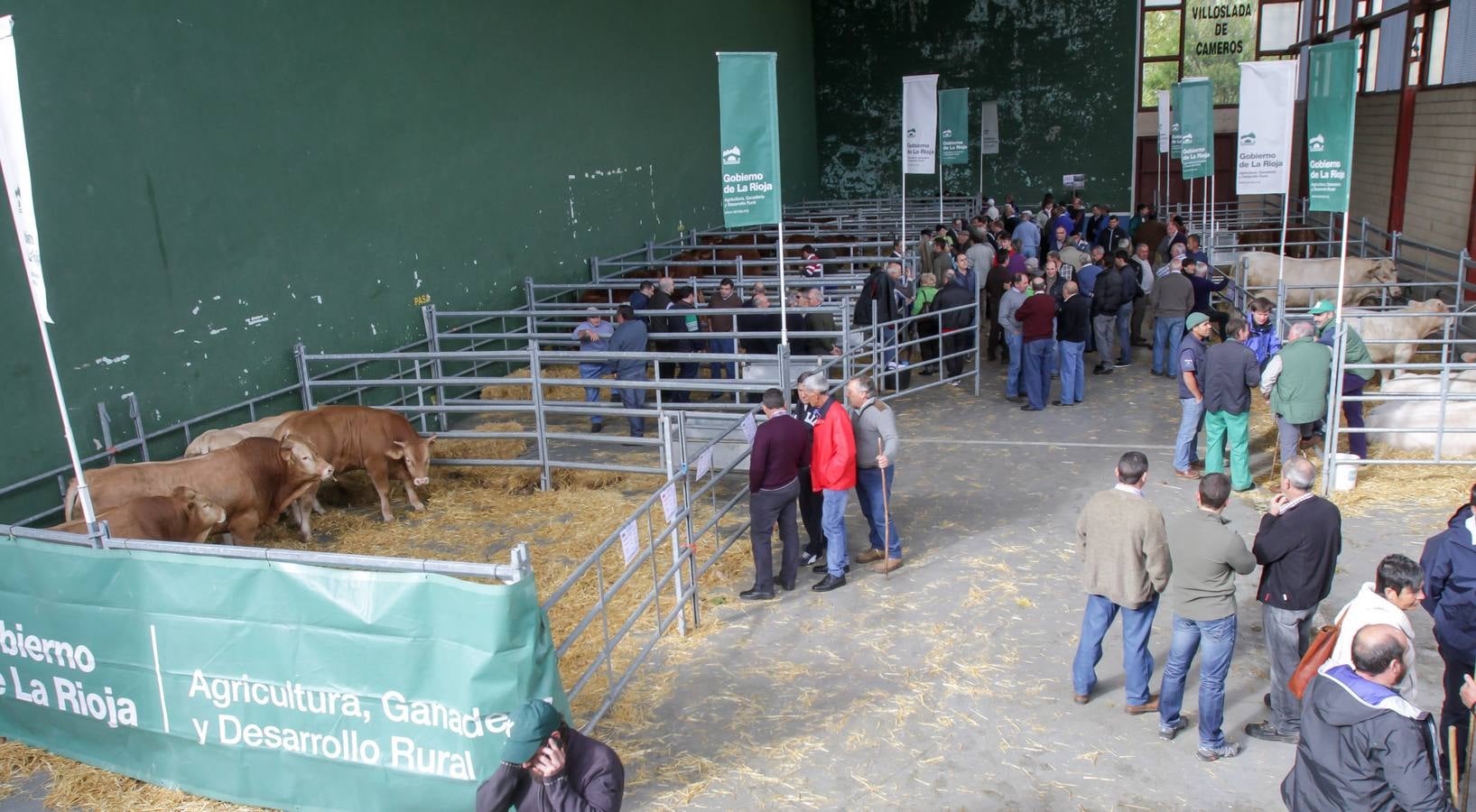 Feria de ganado en Villoslada