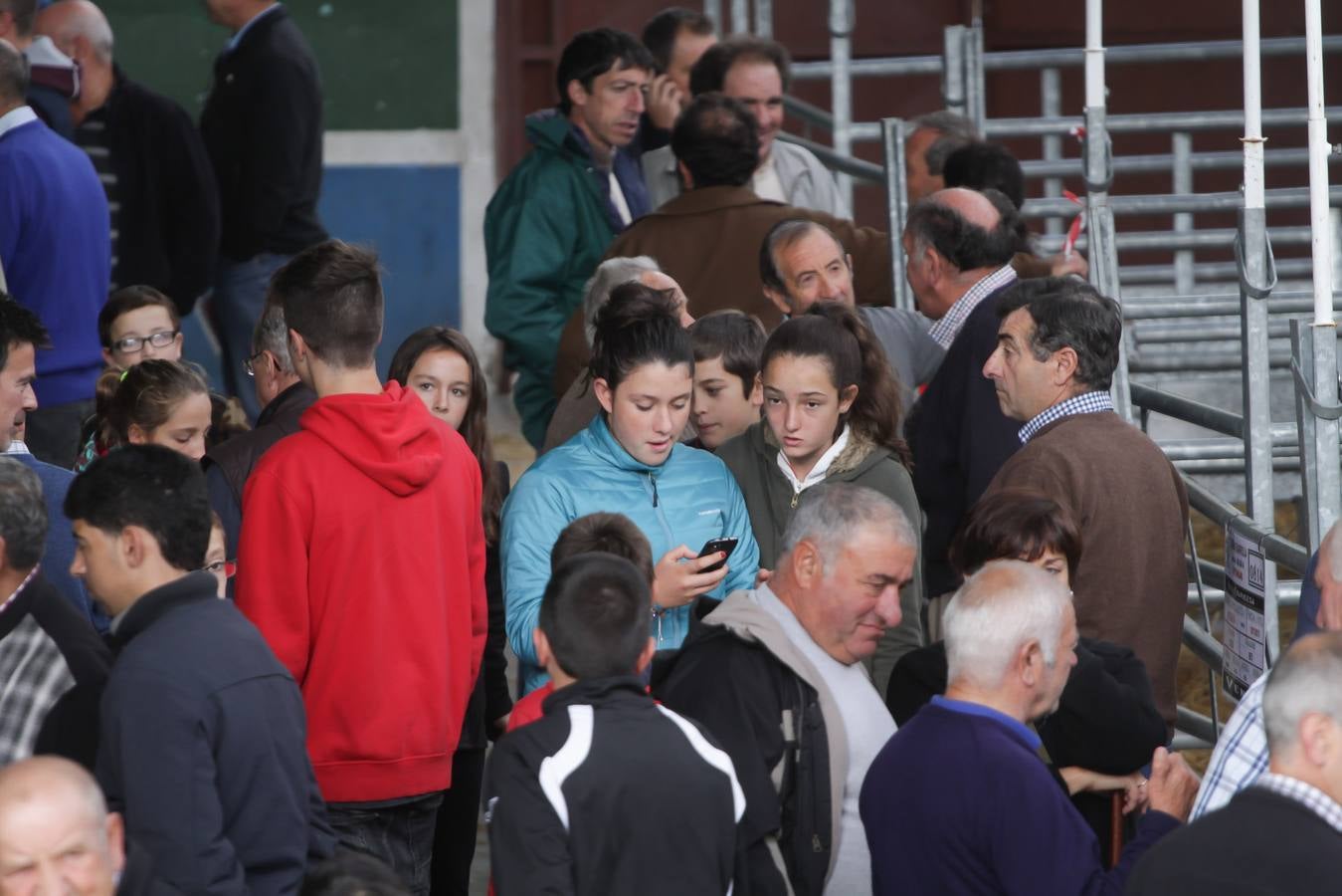 Feria de ganado en Villoslada