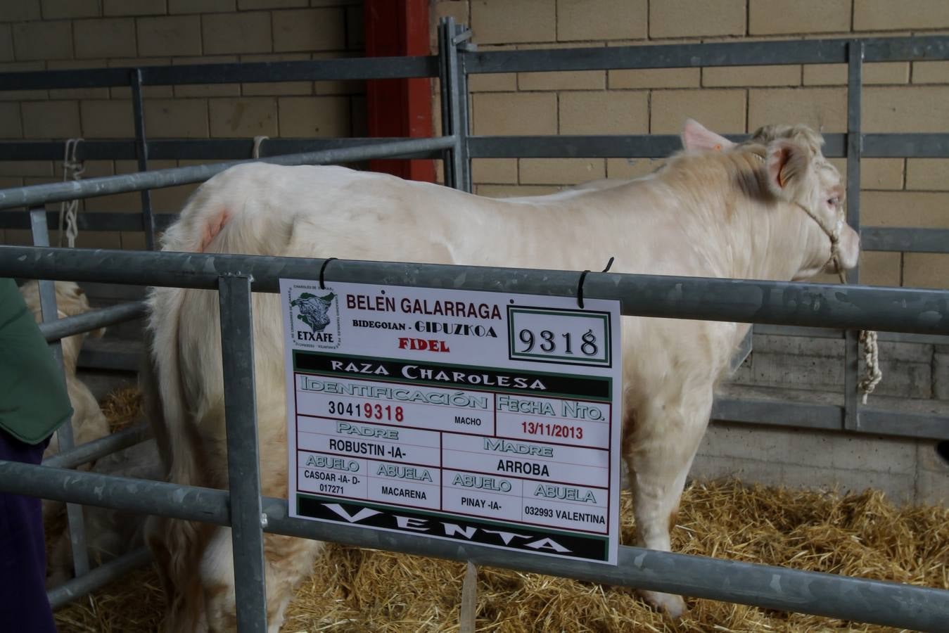 Feria de ganado en Villoslada