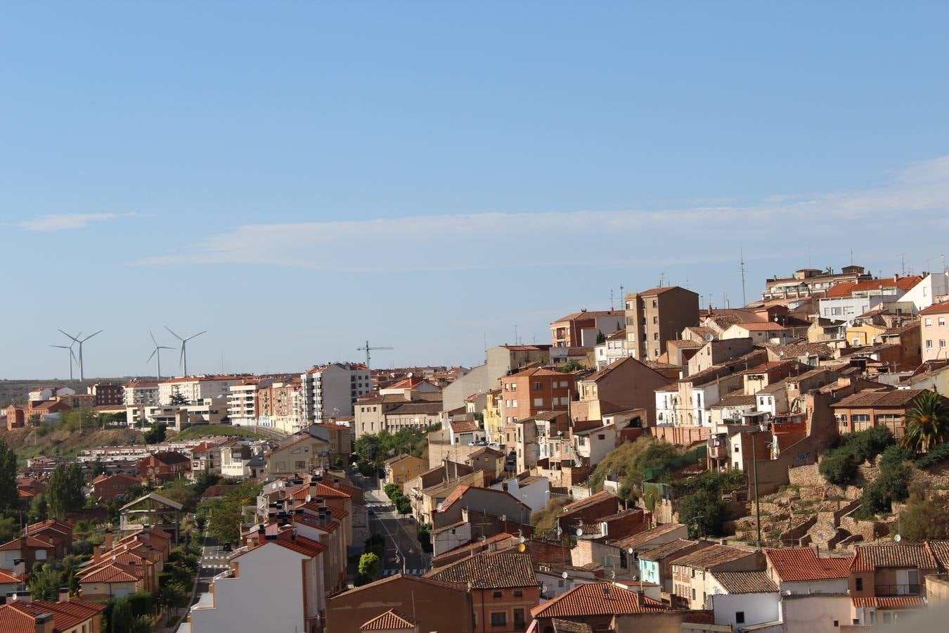 Visitas a la torre de la catedral de Calahorra