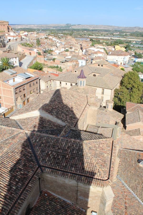 Visitas a la torre de la catedral de Calahorra