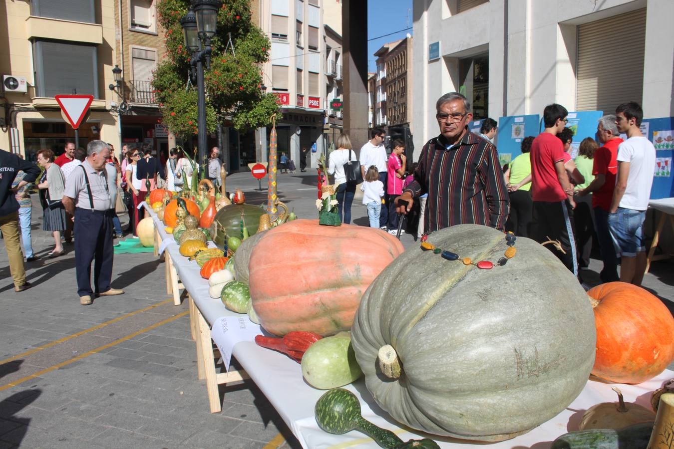 Semana de las Ciencias Naturales en Arnedo