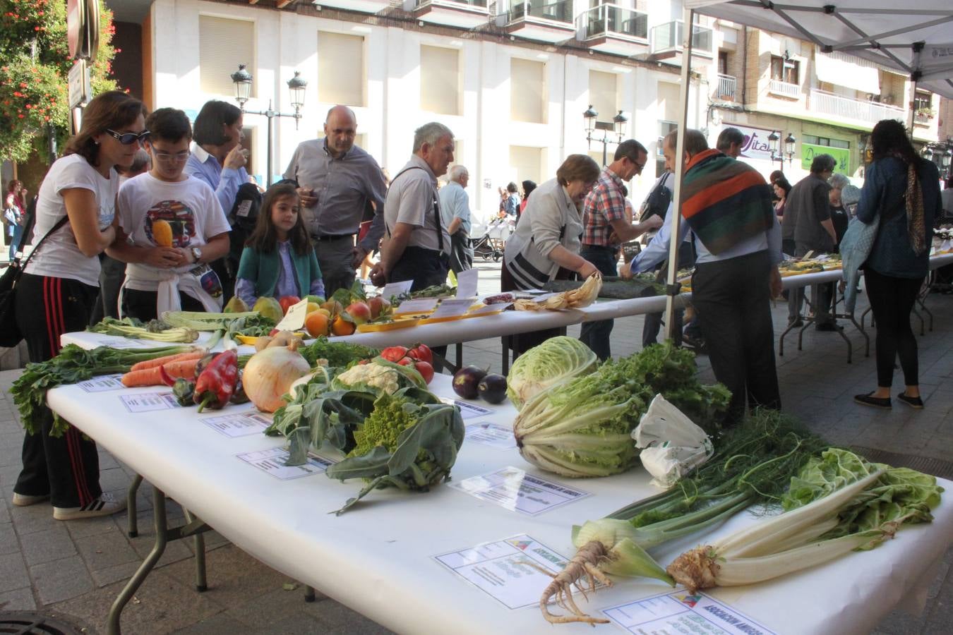 Semana de las Ciencias Naturales en Arnedo