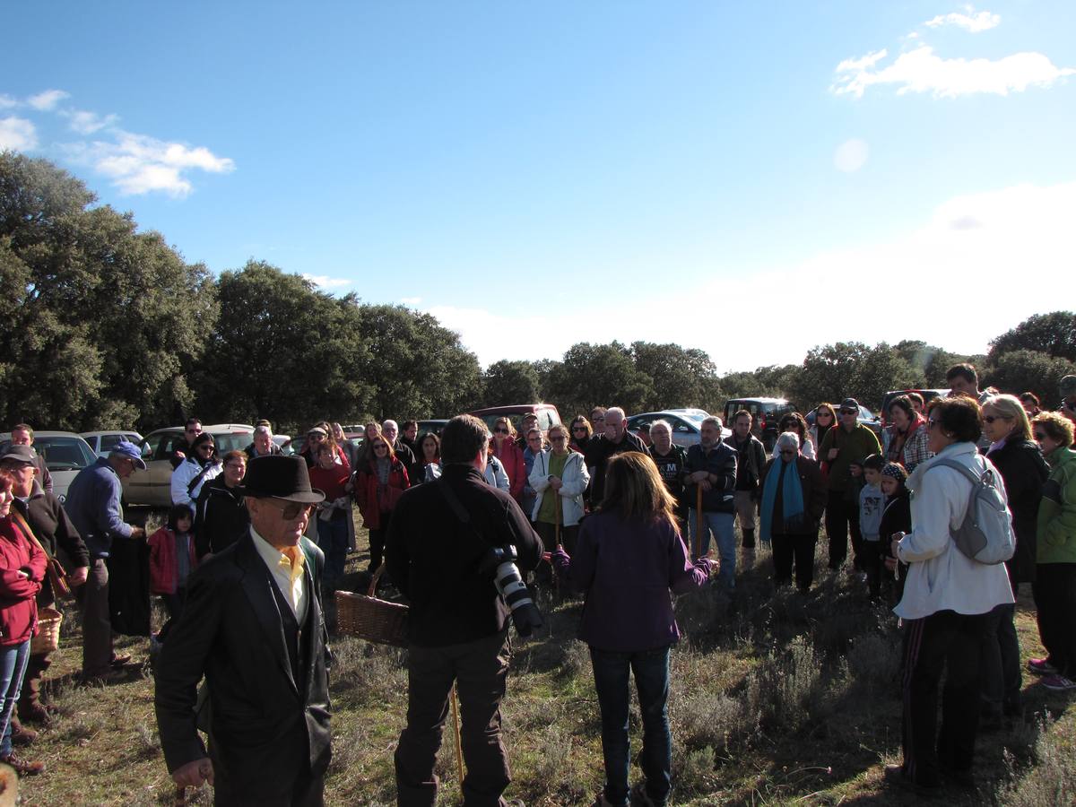 XXI Jornadas micológicas de Villarroya (I)