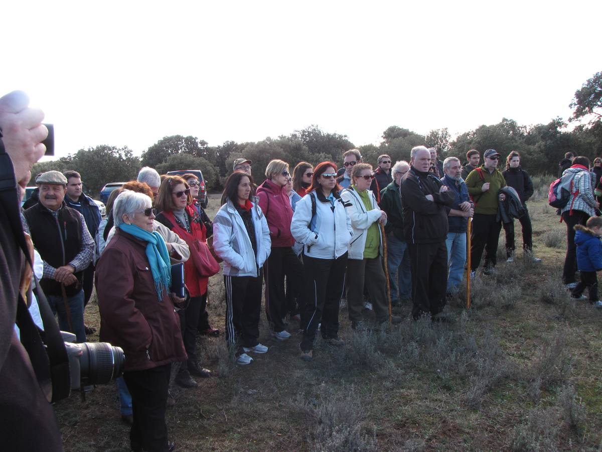 XXI Jornadas micológicas de Villarroya (I)