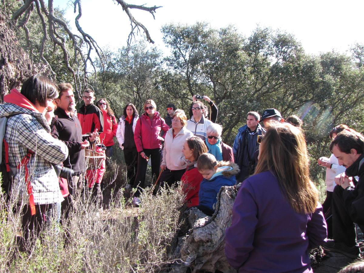 XXI Jornadas micológicas de Villarroya (I)