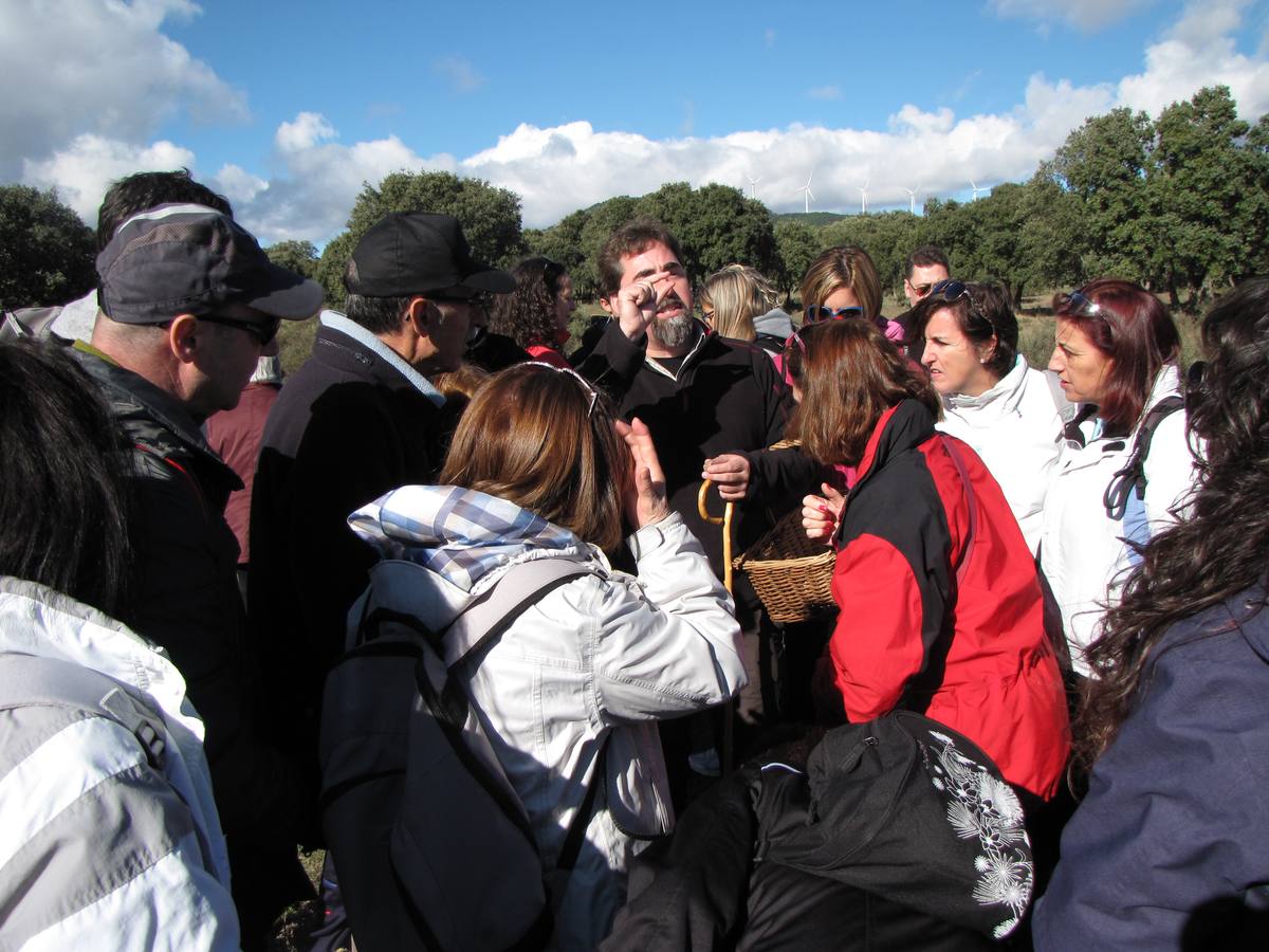 XXI Jornadas micológicas de Villarroya (I)