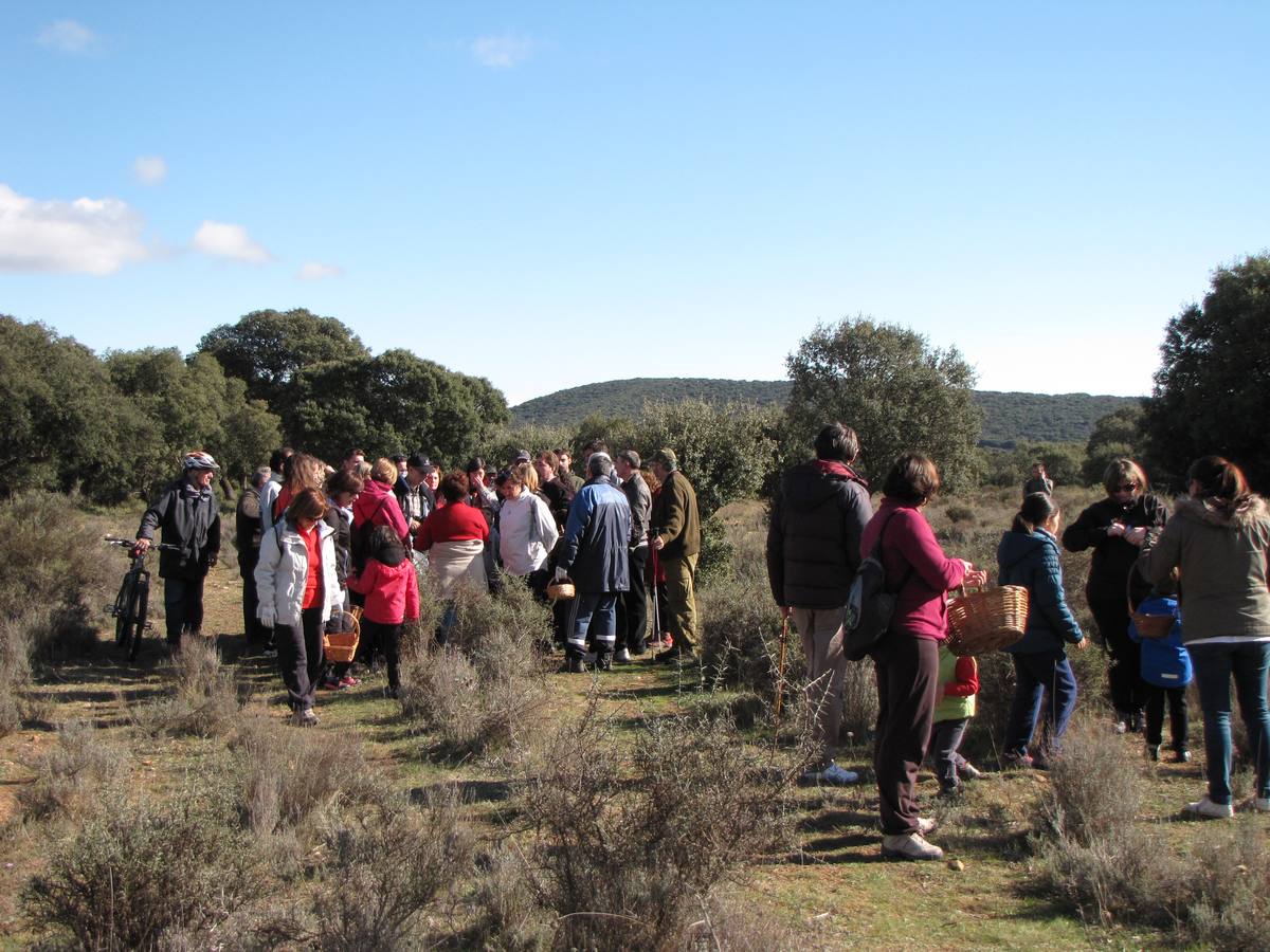 XXI Jornadas micológicas de Villarroya (I)