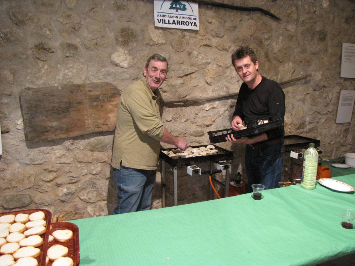 XXI Jornadas micológicas de Villarroya (II)