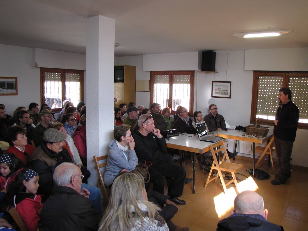 XXI Jornadas micológicas de Villarroya (II)